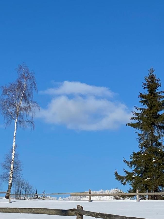 Садиба Anna Slavske Esterno foto
